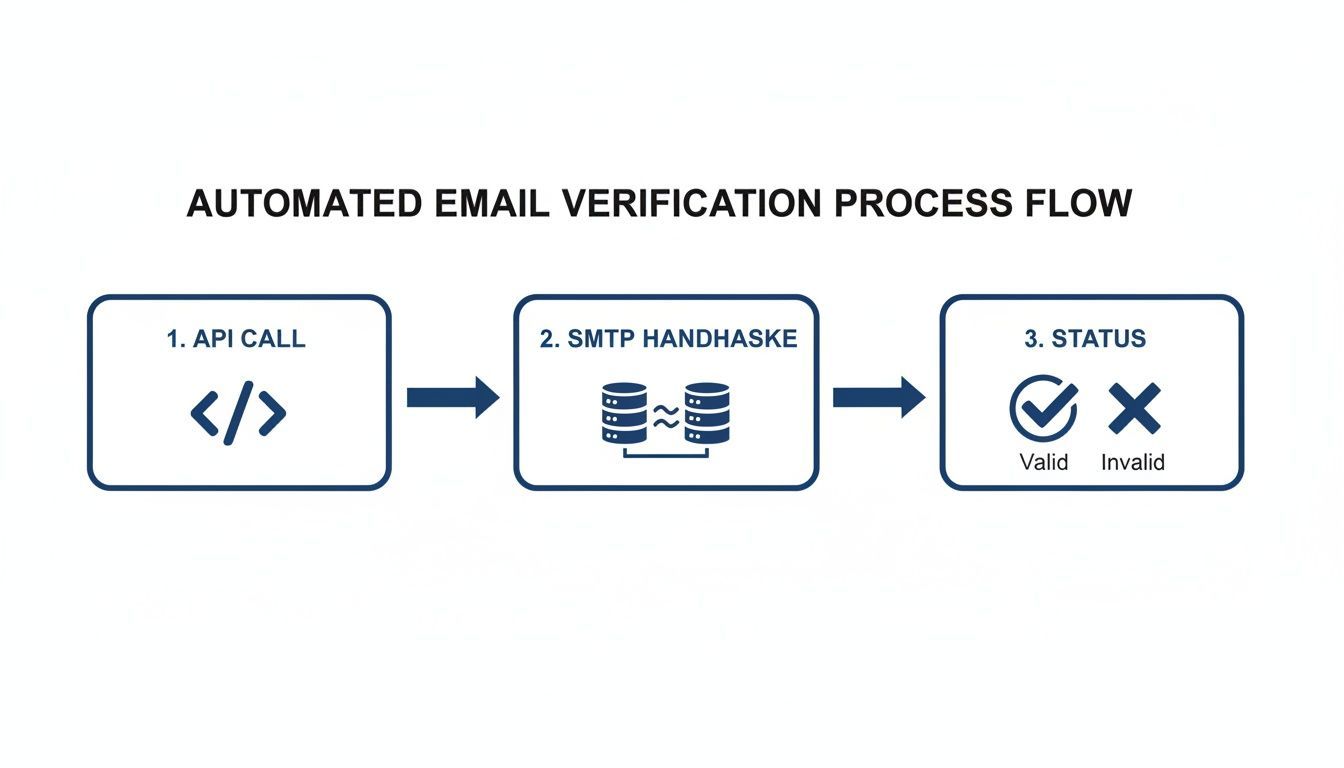 Flowchart illustrating the automated email verification process, including API call, SMTP handshake, and final status.