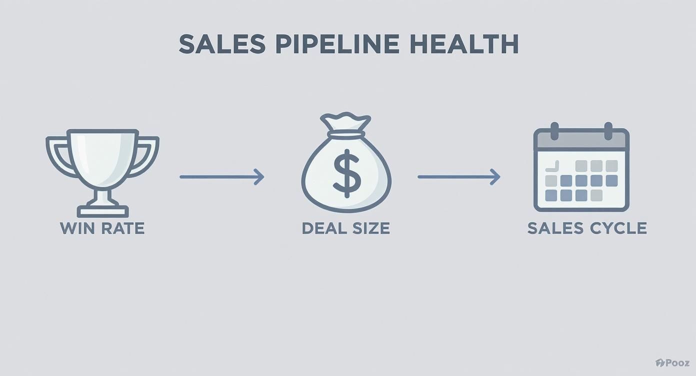 An infographic illustrating sales pipeline health using win rate, deal size, and sales cycle metrics.